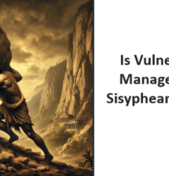 Vulnerability Management